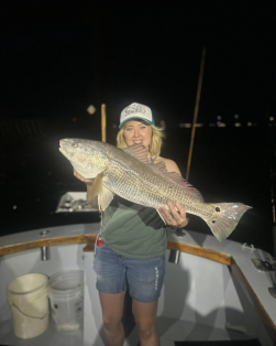 large redfish in St. Augustine Fl