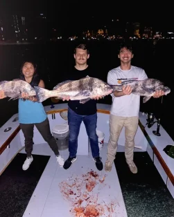 Black Drum catch in St. Augustine Fl