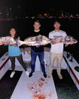 Fishing Charters 6 Black Drum catch in St. Augustine Fl